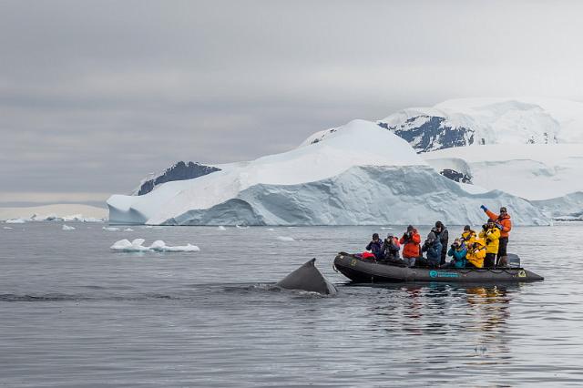 092 Antarctica, Cierva Cove.jpg